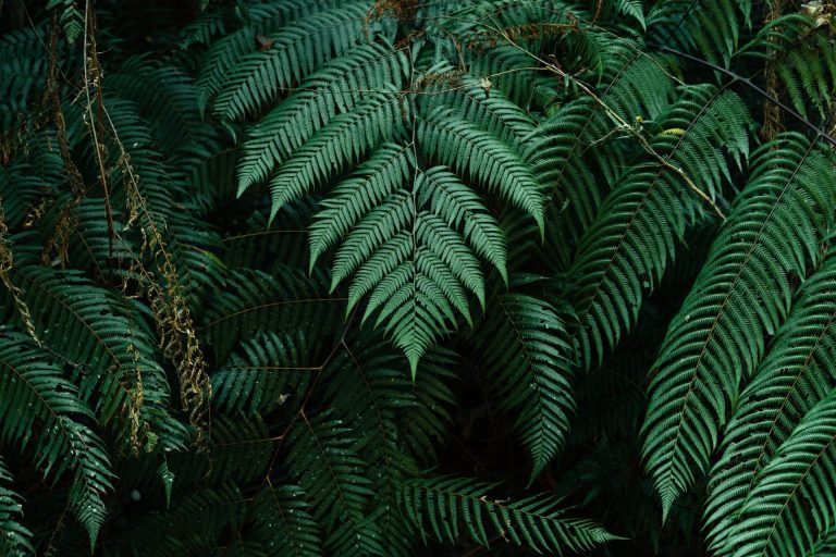 Five Reasons to Consider Alternative Binders Instead of Cement in the Construction Industry